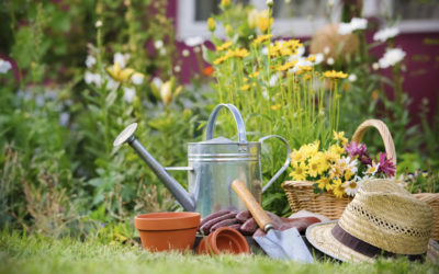 La santé mentale est dans le jardin