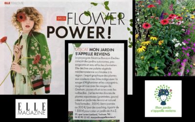 Dossier spécial « Flower Power »