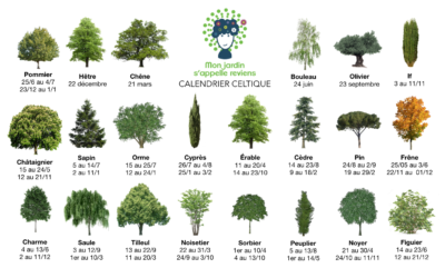 Découvrez le calendrier celtique