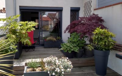 Végétaliser une terrasse à l’ombre