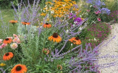 Jardin naturaliste en Ariège