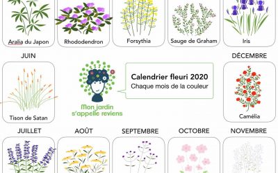 Calendrier de floraison