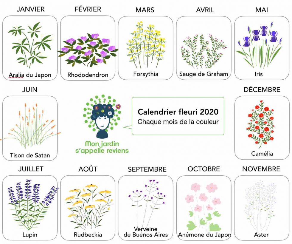 Calendrier de floraison | Mon jardin s'appelle reviens