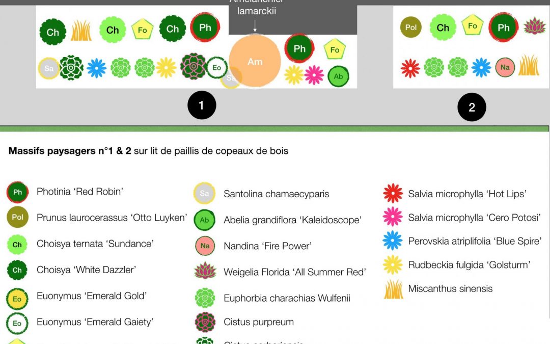 Concevoir un plan de plantations