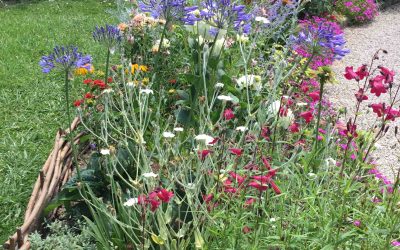 Un jardin résistant à la chaleur